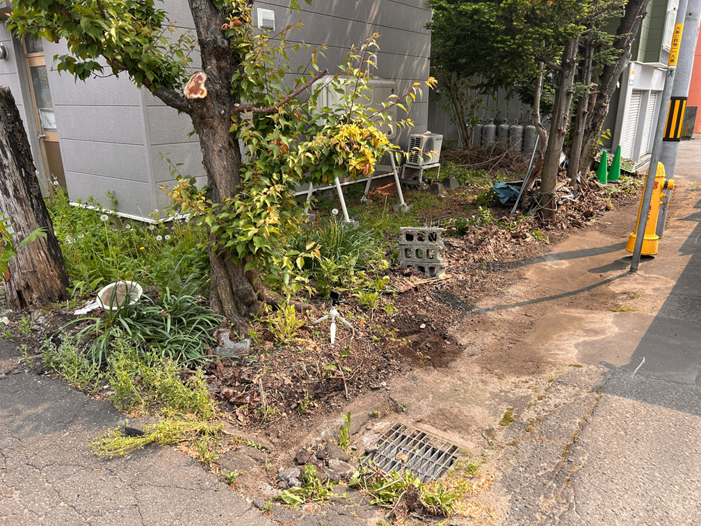 庭木と木塀の撤去の施工後2の画像