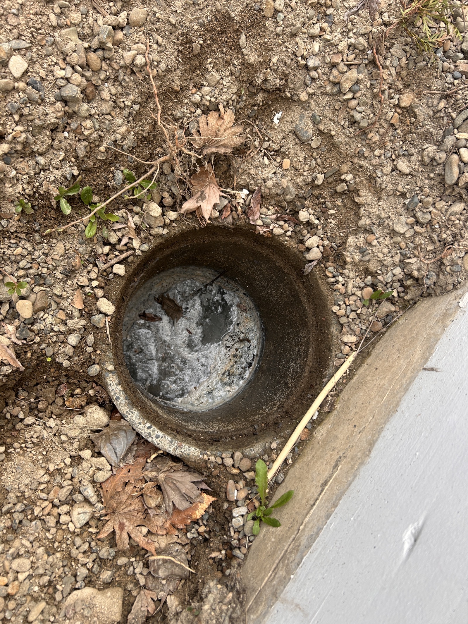 施工前：外部排水マスに水が溜まっている状態。高圧洗浄前の現地確認時