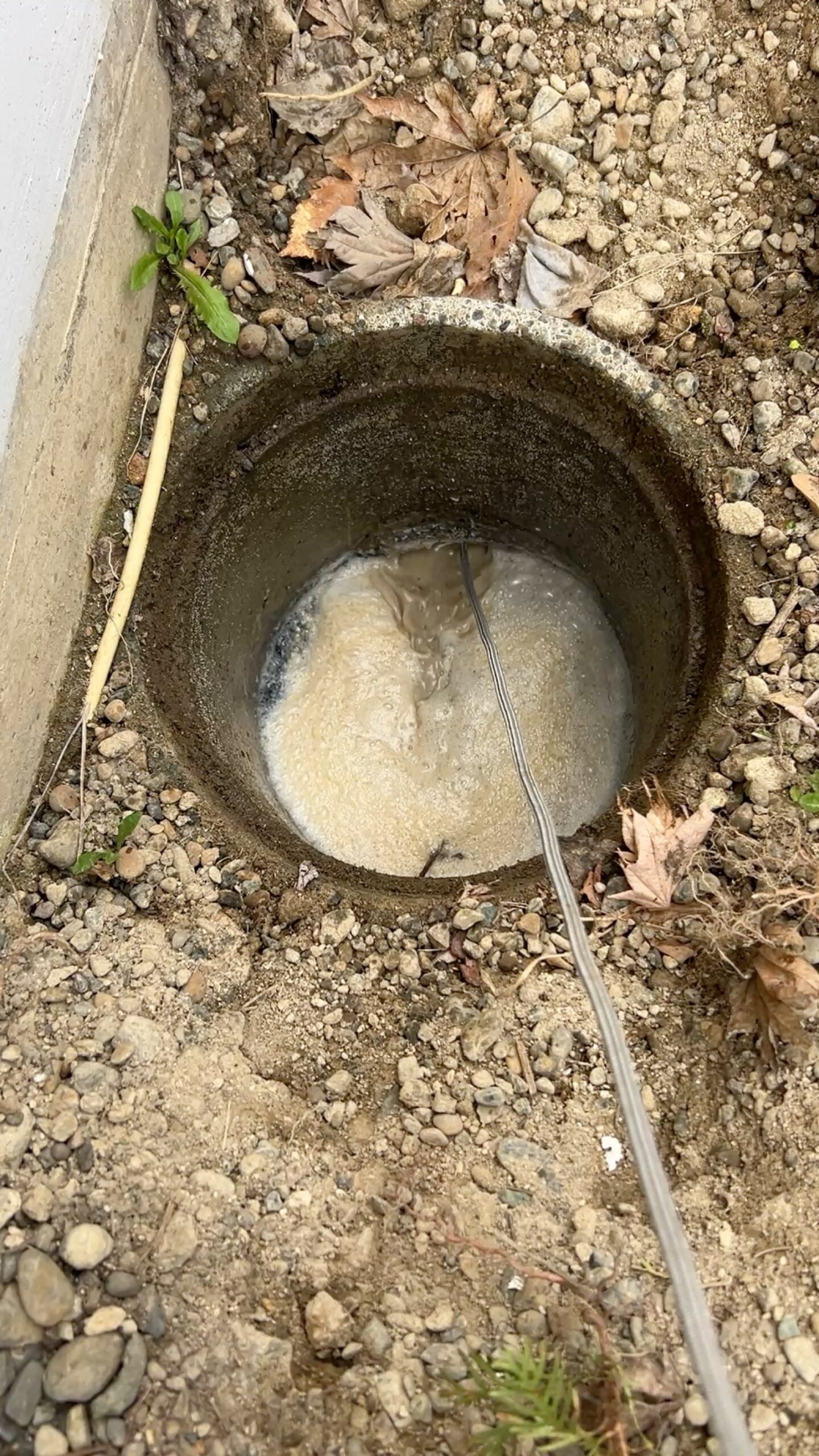 高圧洗浄中：ホースを挿入し管内を洗浄するも、白く泡立つ水がマス内に溜まったまま