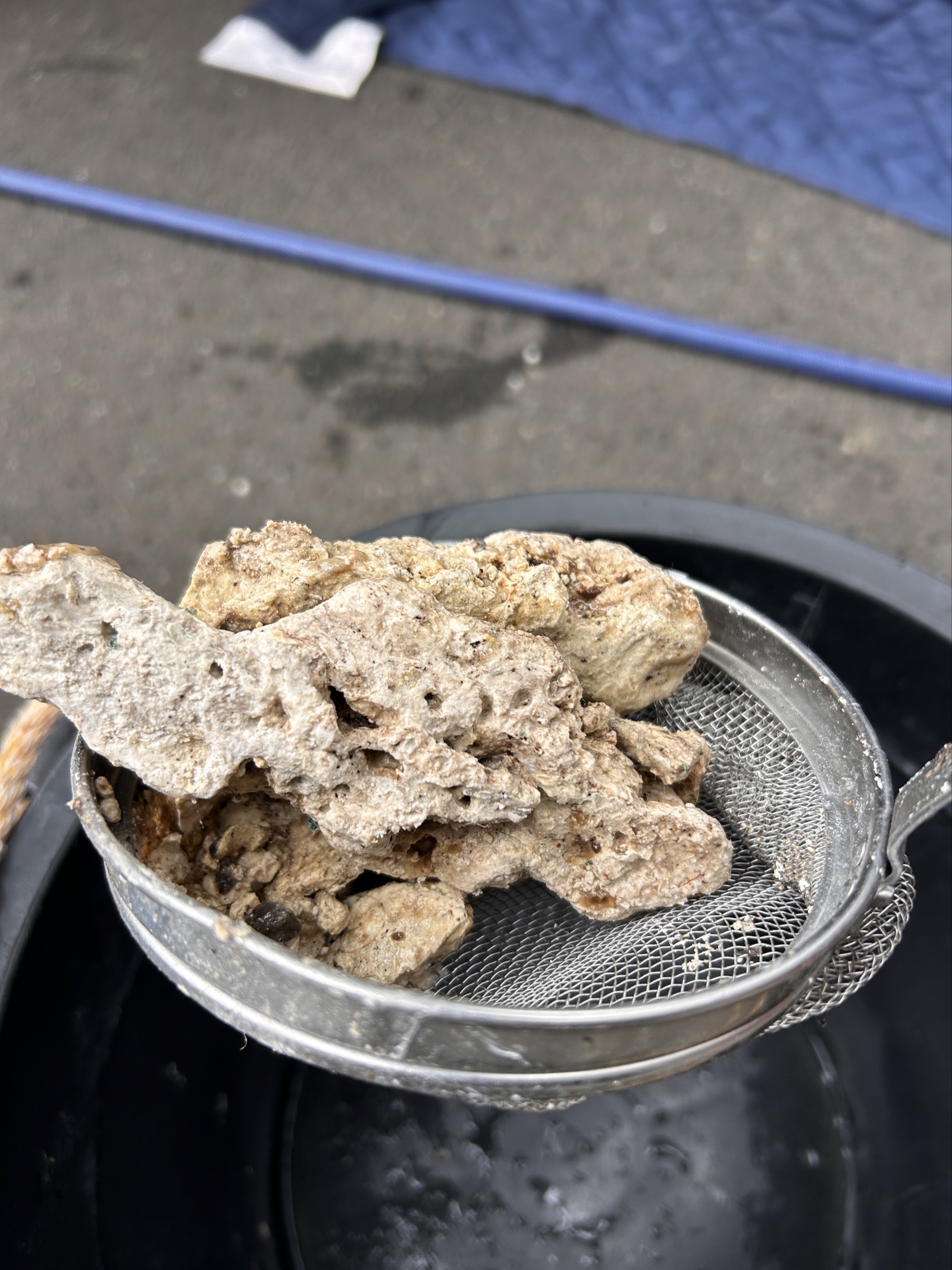 除去された固形物①：管内から押し出された固着油の塊をざるで回収