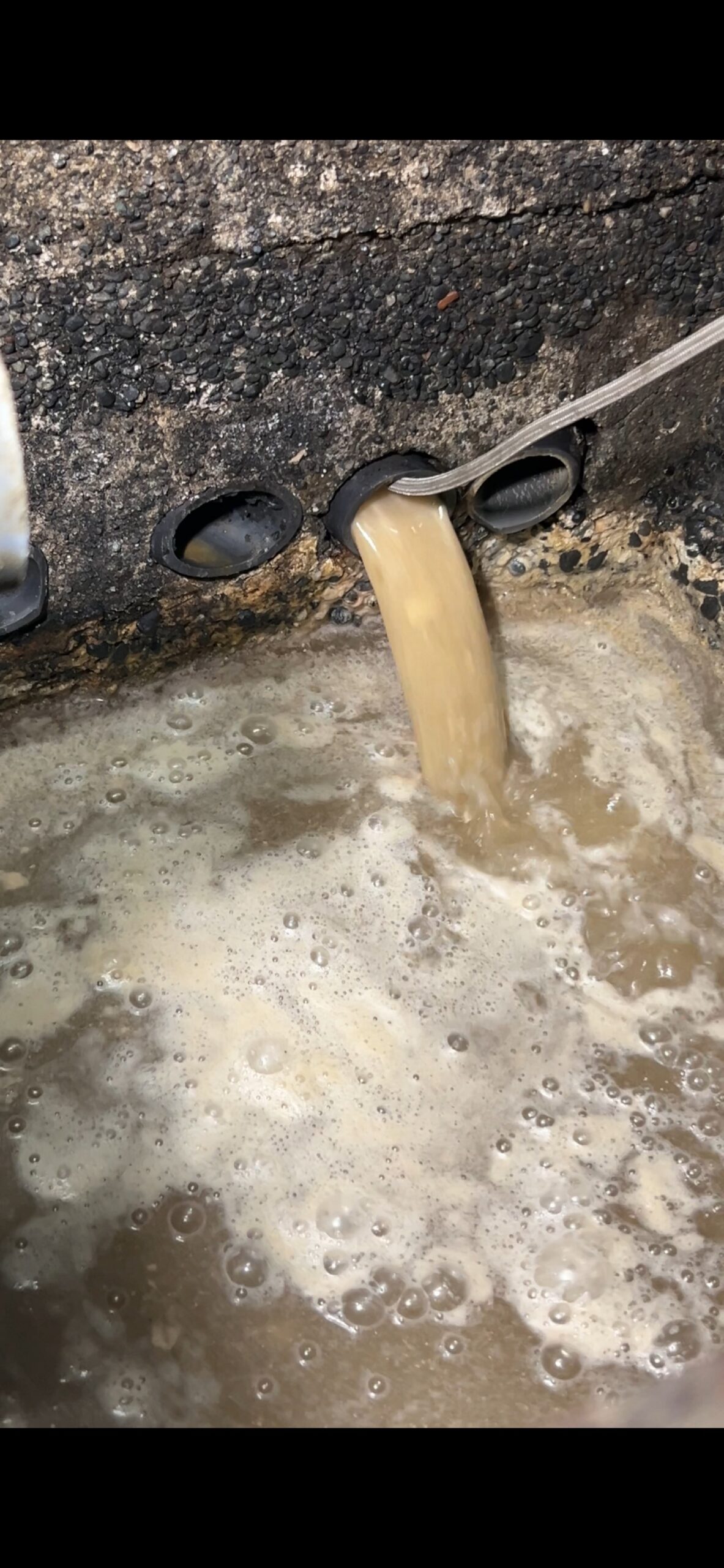 排水管から押し出された茶褐色の汚水。油脂が溶け込んだ泡立ちが固着の程度を示している