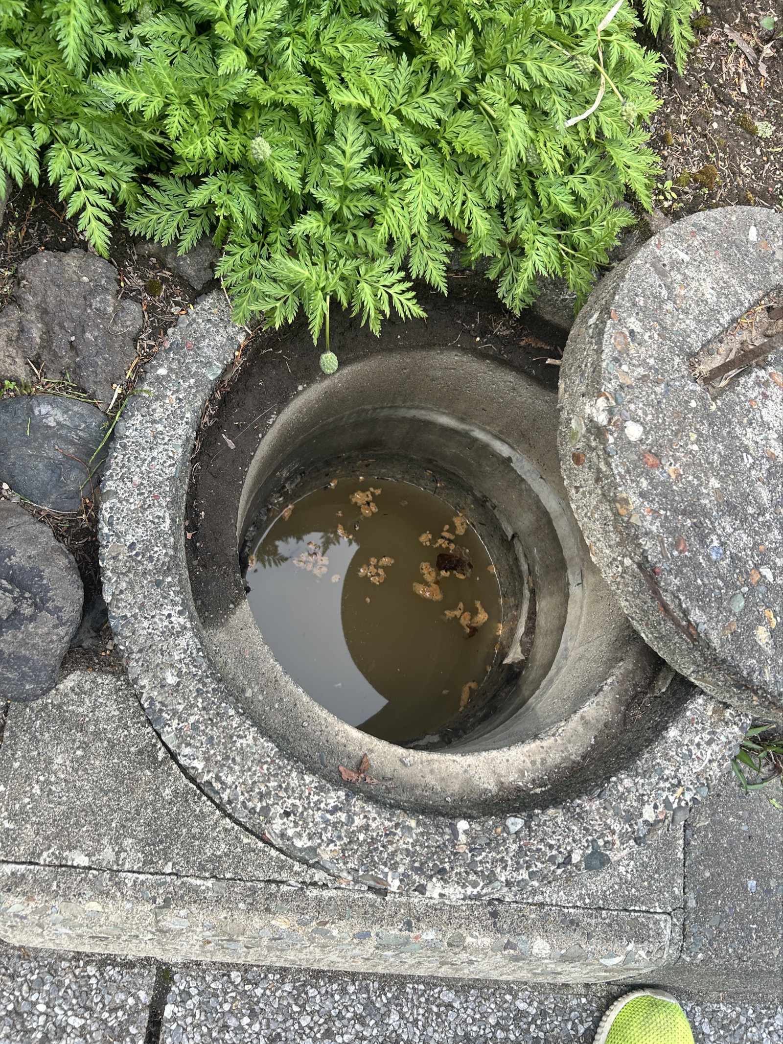 施工前：外部排水マス内に水が満水状態で滞留。排水が完全に止まっている様子が確認できる（札幌市厚別区）