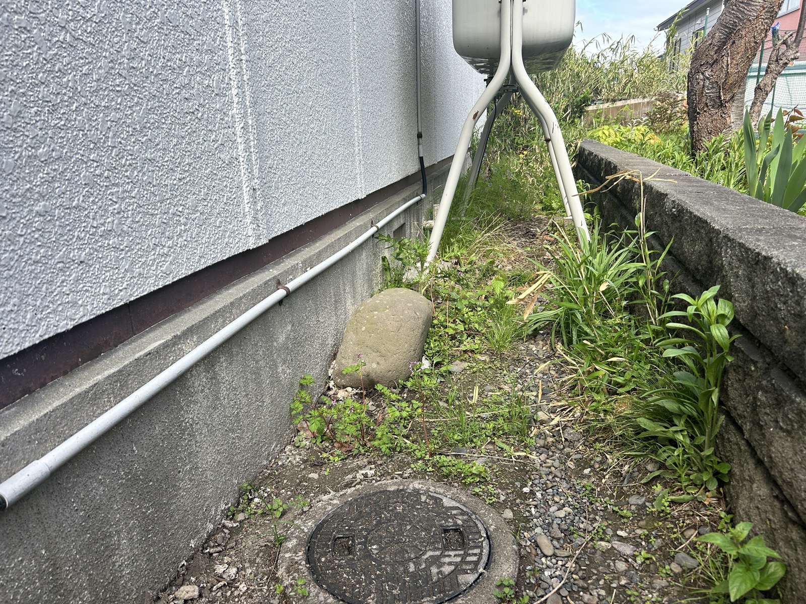 施工前：建物側面の排水マス周辺。雑草が繁茂し、マスの状態が確認しにくい状況