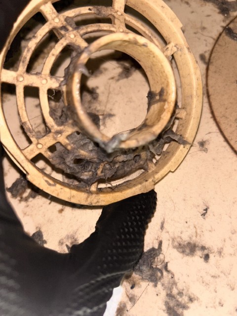 排水トラップカバーに絡みついた大量の糸くずとヘドロ。詰まりの主な原因