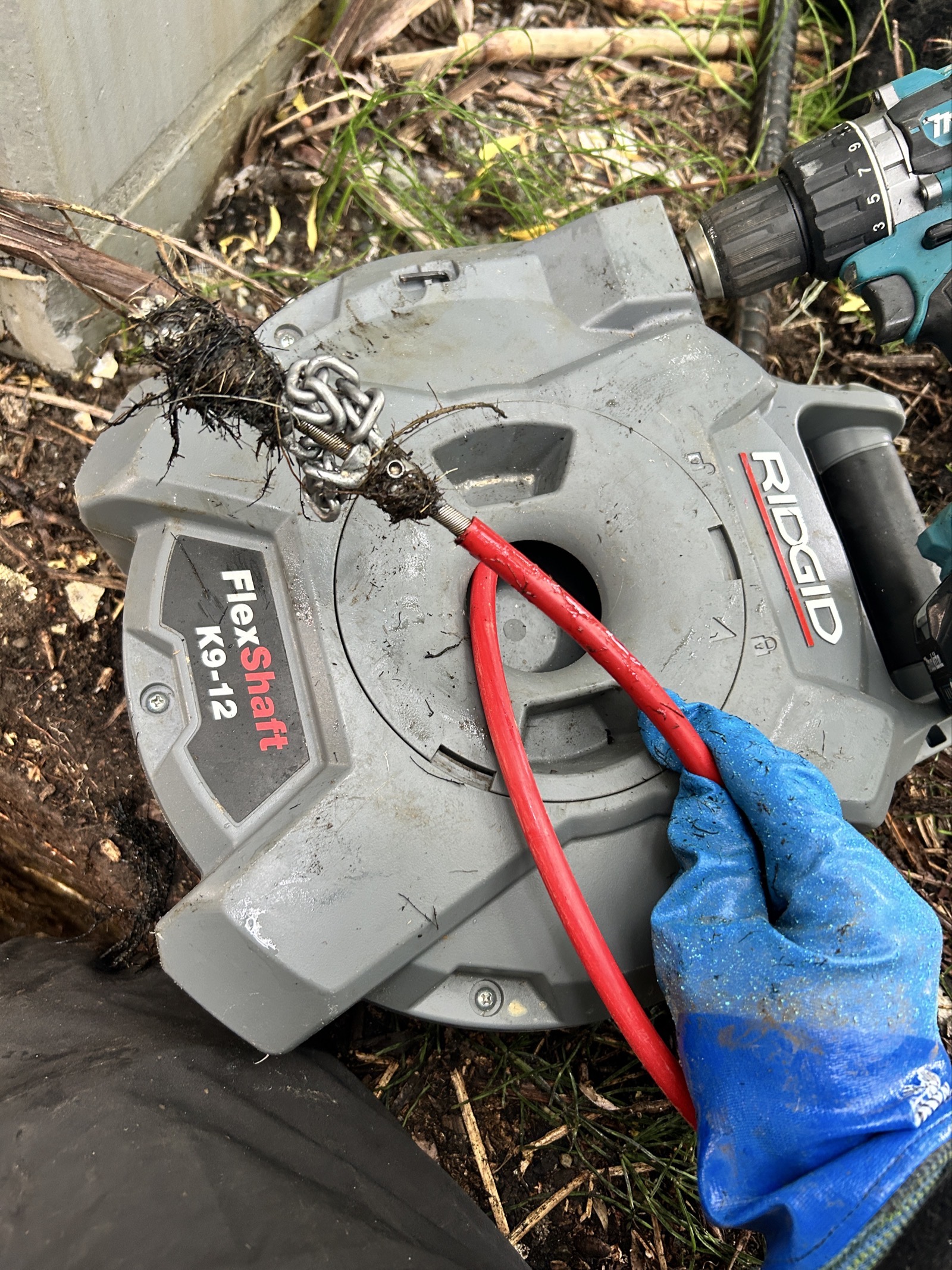 使用機材:RIDGID FlexShaft K9-12。カッターヘッドに根が絡みついているのがわかる