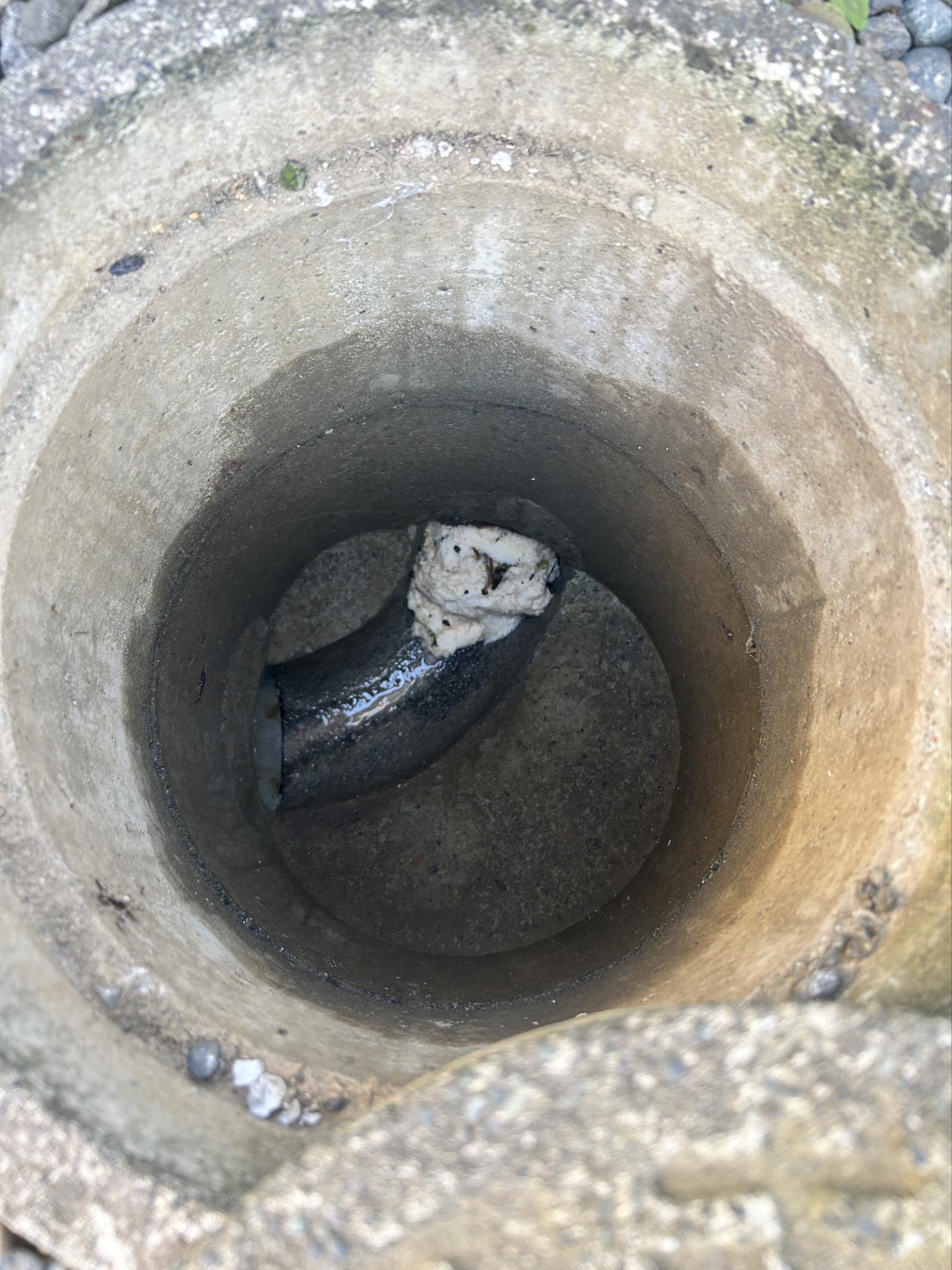 排水マス つまりの状態。管の合流部にトイレットペーパーの塊が堆積し流路をふさいでいる