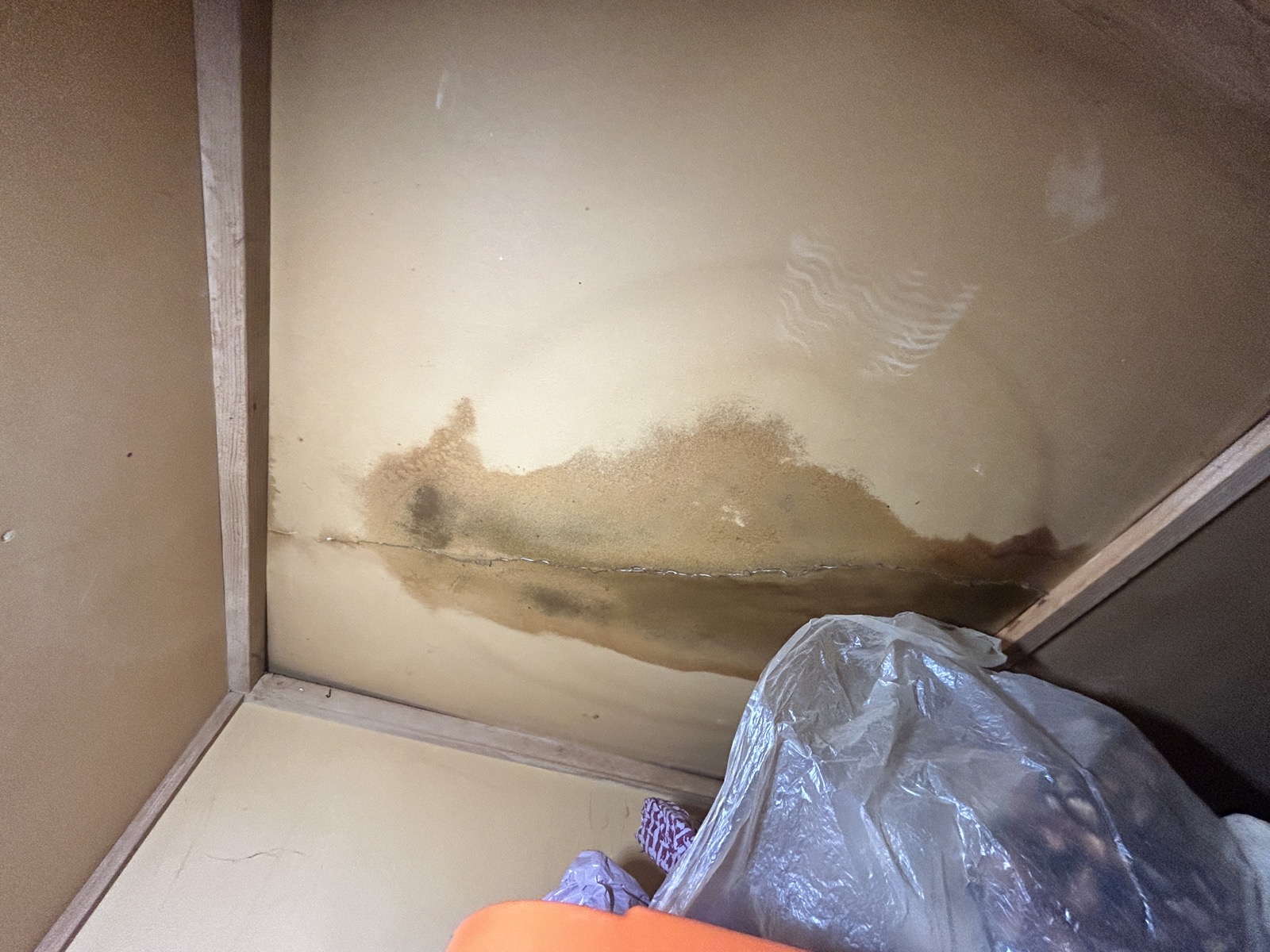 漏水によって茶色く変色し、カビも見られる押入れ天井の被害状況