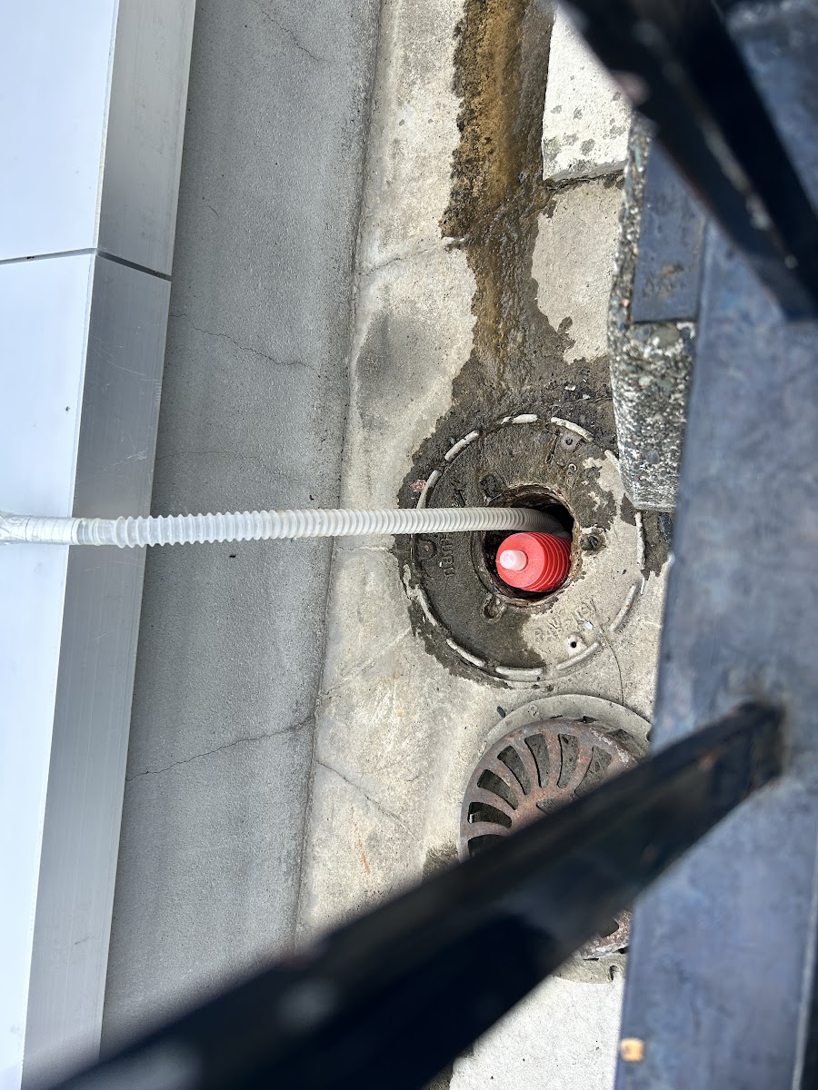札幌市南区、バルコニーの排水管 つまりの現場でフレックスシャフトのケーブルを排水口に挿入する様子