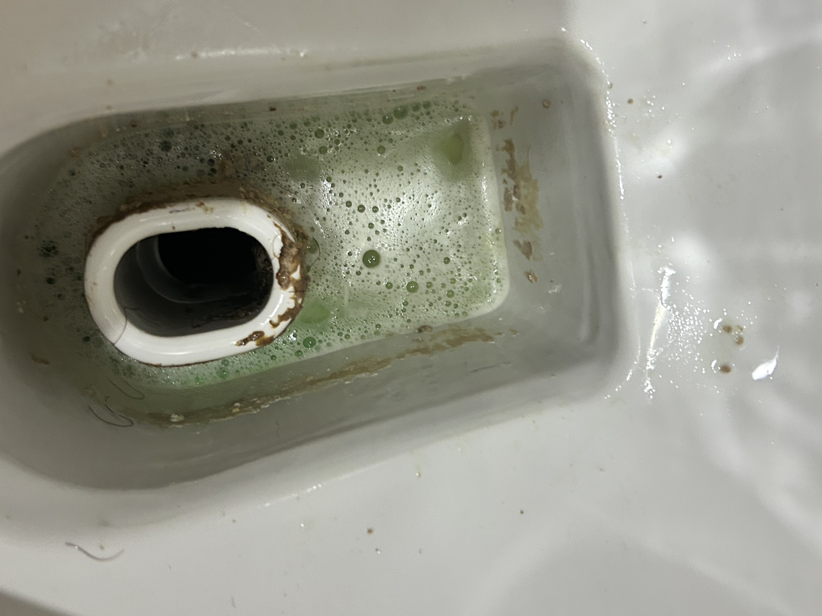 尿石除去剤が反応して泡立つトラップまわり。固着した尿石が軟化していく