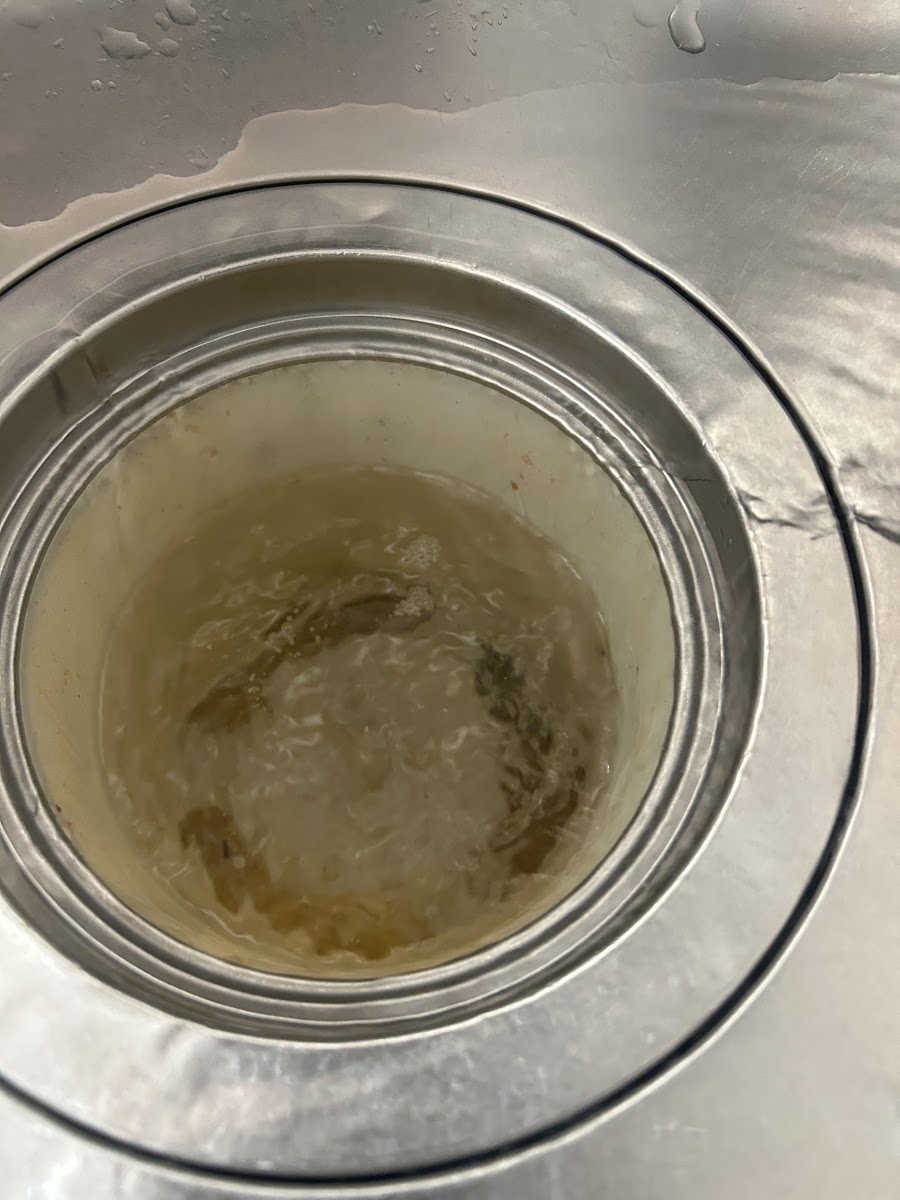 施工前のシンク排水口、油分を含んだ水が溜まっている様子