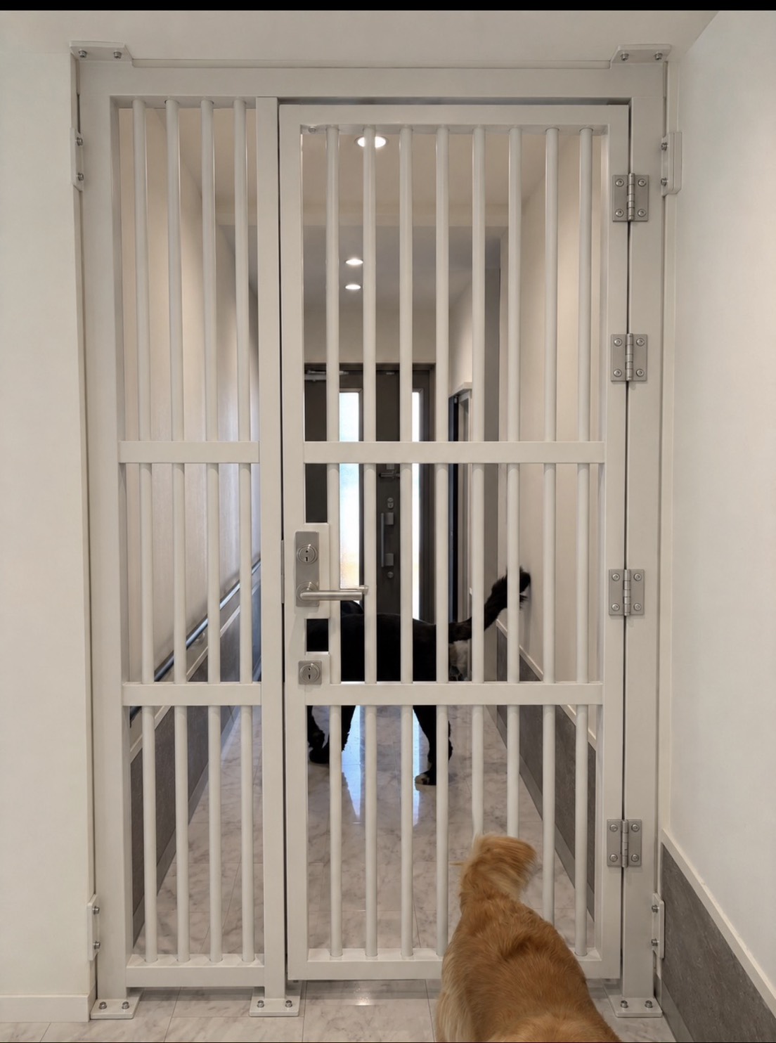AIで生成した大型犬 脱走防止の格子扉イメージ画像をお客様に提示した様子