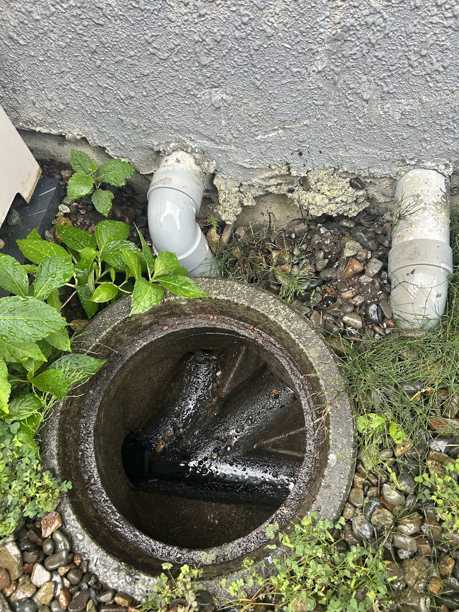 排水管 交換前の桝内部、配管が斜めに傾いて抜けかかっている様子(札幌市西区)