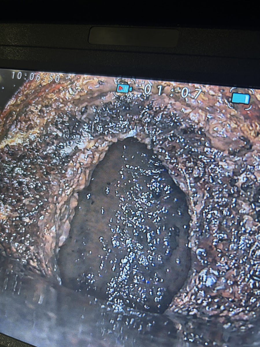 カメラ映像に写った竪管接続部の汚れによる閉塞(閲覧注意)