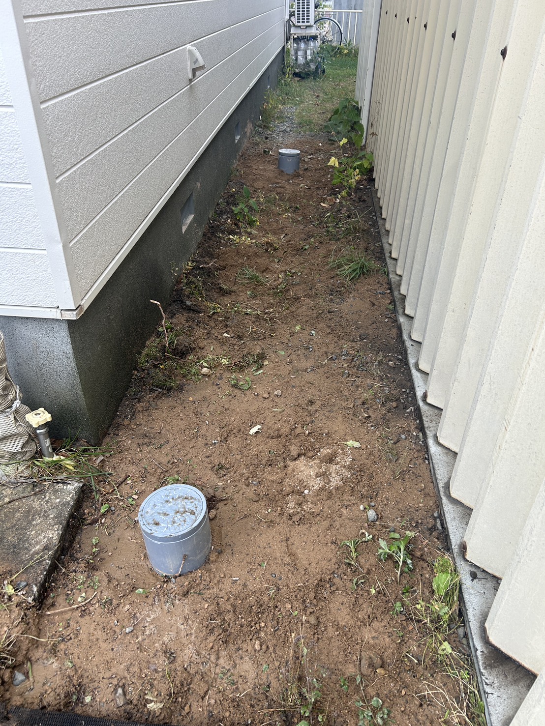 埋め戻して平らにならした通路の地面から、塩ビ製の排水桝の蓋が2か所出ている状態